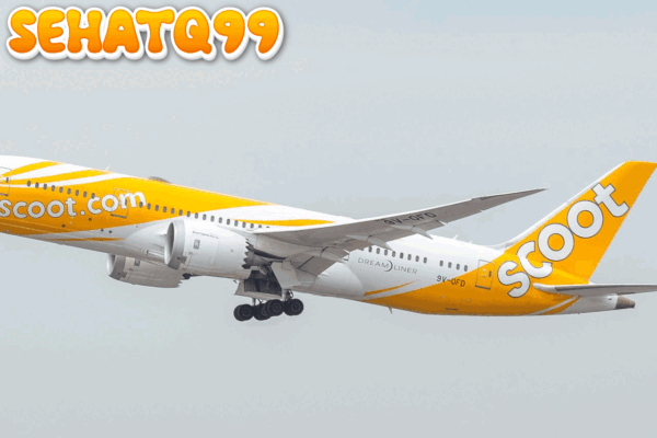 JAE Dipercaya Dukung Operasional Penerbangan Pesawat Embraer Scoot di Manado