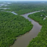 Indonesia Janjikan $1 Miliar untuk Dana Hutan Tropis yang Dipimpin Brasil