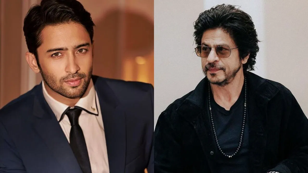 Mengapa Shaheer Sheikh dijuluki sebagai Shah Rukh Khan-nya Indonesia? Aktor MENGUNGKAP