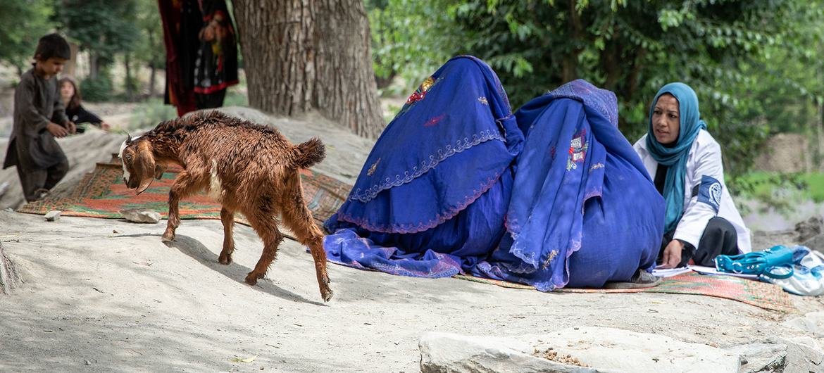 Berita Dunia Singkat: Deklarasi Penting tentang Penyakit dan Kesehatan Mental, Kelaparan di Afghanistan Semakin Parah, Krisis Pengungsi di Republik Demokratik Kongo