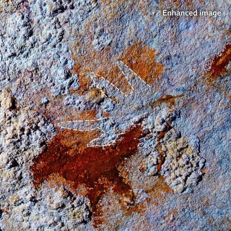 Gambaran gua tertua dapat mengubah pemahaman tentang asal-usul kreativitas manusia.