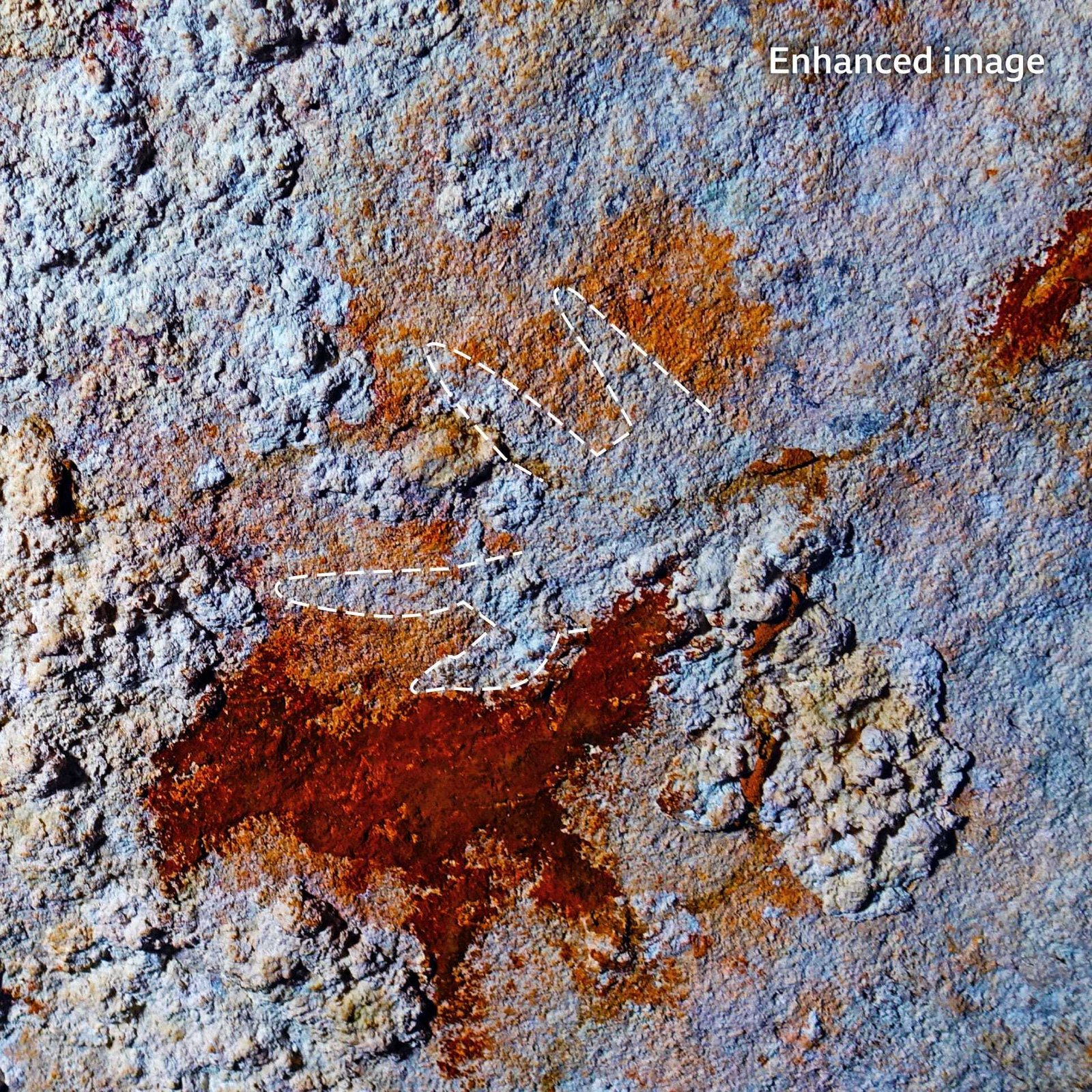 Gambaran gua tertua dapat mengubah pemahaman tentang asal-usul kreativitas manusia.