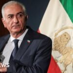 Pangeran mahkota yang diasingkan mendesak dunia untuk membantu para demonstran menggulingkan pemerintah Iran.