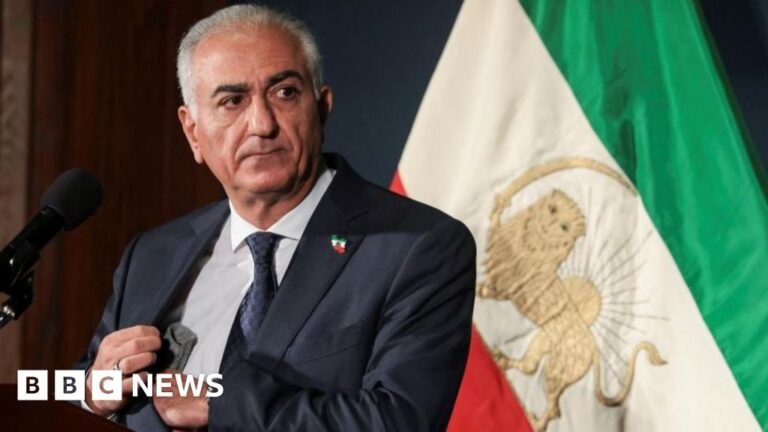 Pangeran mahkota yang diasingkan mendesak dunia untuk membantu para demonstran menggulingkan pemerintah Iran.