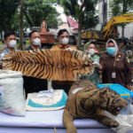 Perdagangan satwa liar kini dianggap sebagai "pelanggaran serius" berdasarkan undang-undang kejahatan terorganisir Singapura.