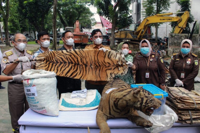 Perdagangan satwa liar kini dianggap sebagai “pelanggaran serius” berdasarkan undang-undang kejahatan terorganisir Singapura.