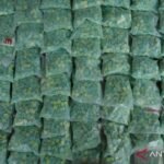 Indonesia akan memanfaatkan penelitian nasional untuk mendeteksi narkotika sintetis baru