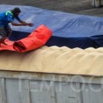 Produksi Gula Indonesia Meningkat Seiring Penurunan Konsumsi Rumah Tangga