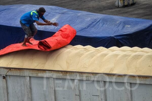 Produksi Gula Indonesia Meningkat Seiring Penurunan Konsumsi Rumah Tangga