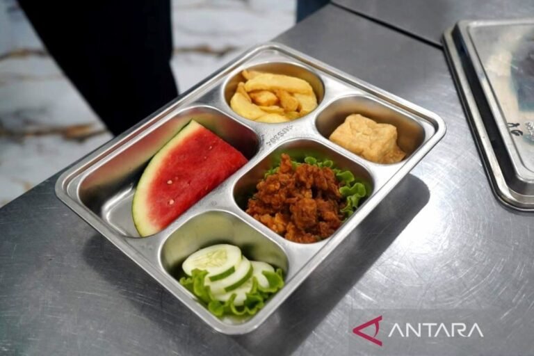 Program makan gratis di Indonesia meningkatkan kesehatan dan mendorong kehadiran siswa di sekolah: BGN