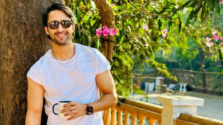 ‘Shah Rukh Khan-nya Indonesia’, kekayaan bersih Shaheer Sheikh akan membuat Anda tercengang