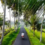 Aturan visa baru yang ketat di Bali menargetkan para influencer dan pembuat konten