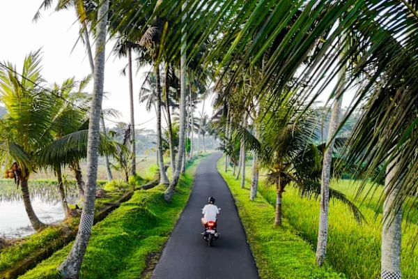 Aturan visa baru yang ketat di Bali menargetkan para influencer dan pembuat konten