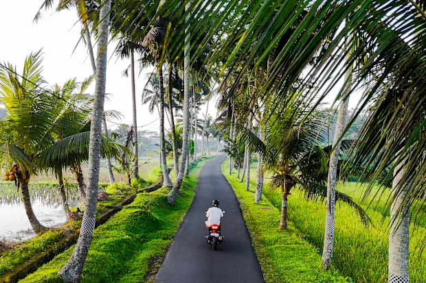 Aturan visa baru yang ketat di Bali menargetkan para influencer dan pembuat konten