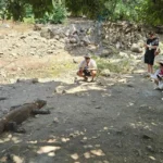 Terkenal karena kadal Komodo, Labuan Bajo semakin populer sebagai destinasi wisata, namun risiko pariwisata berlebihan tetap ada