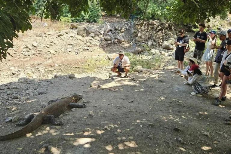 Terkenal karena kadal Komodo, Labuan Bajo semakin populer sebagai destinasi wisata, namun risiko pariwisata berlebihan tetap ada