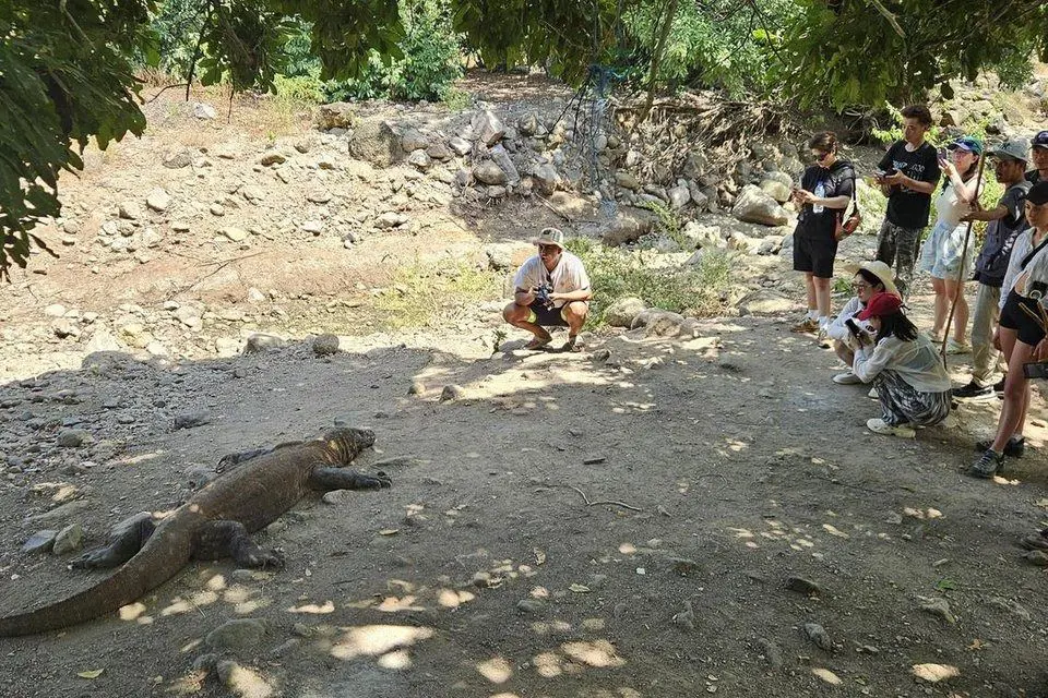 Terkenal karena kadal Komodo, Labuan Bajo semakin populer sebagai destinasi wisata, namun risiko pariwisata berlebihan tetap ada