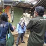 Membangun Ketahanan: Rencana Aksi Bersama One Health Indonesia